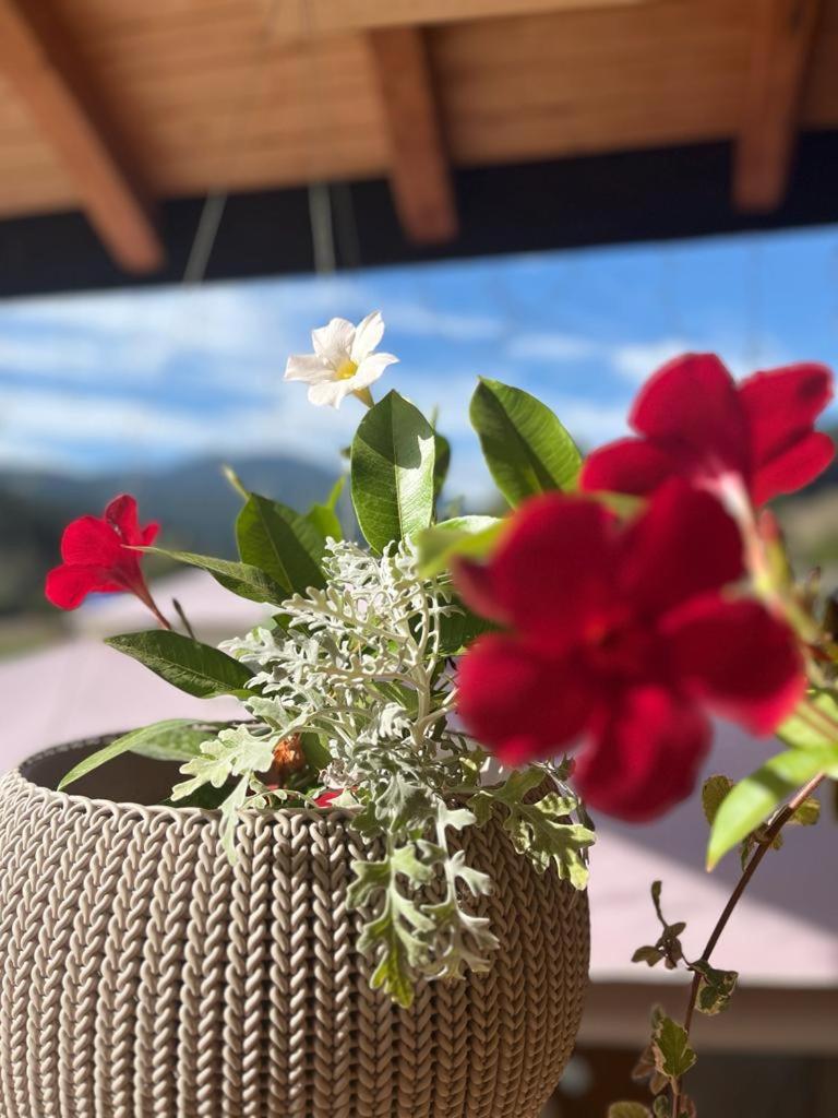 Pensiunea Mireasma Bucovinei Crucea Dış mekan fotoğraf