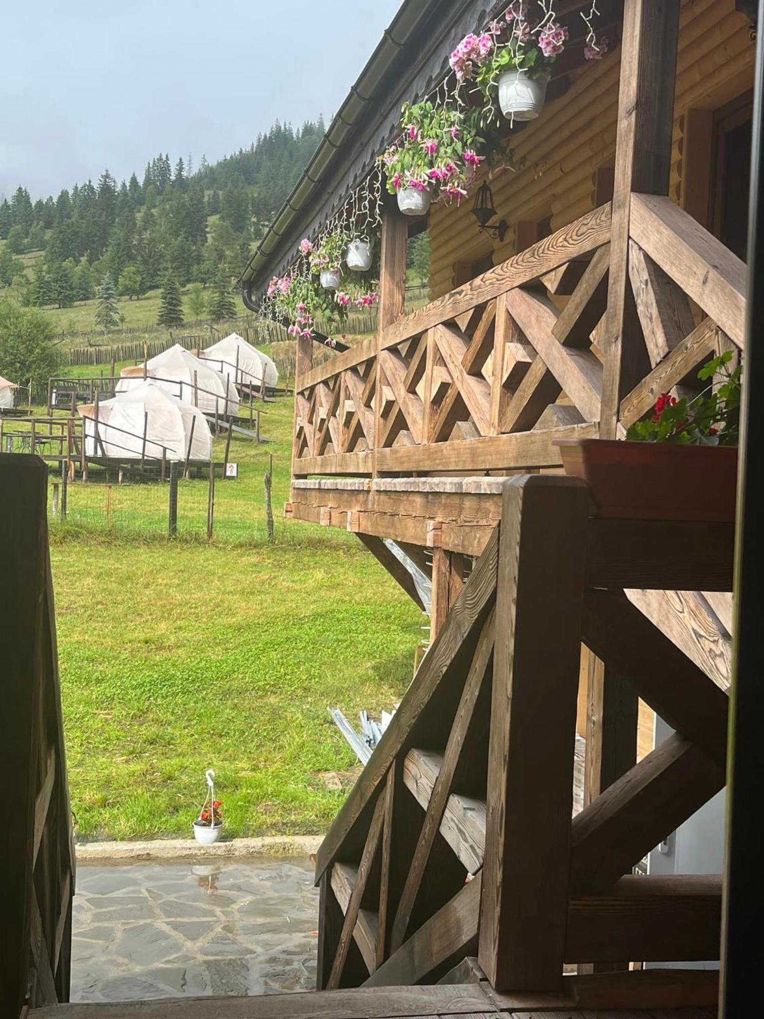Pensiunea Mireasma Bucovinei Crucea Dış mekan fotoğraf