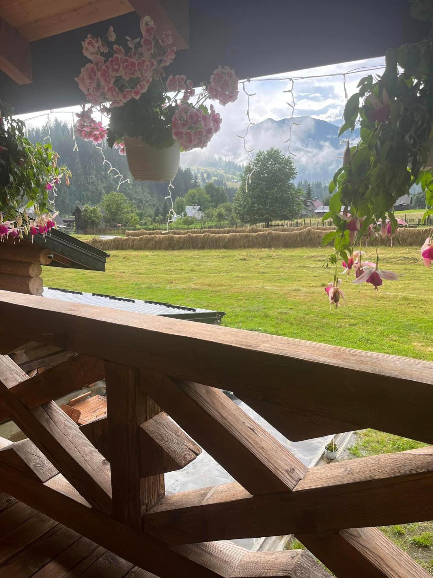 Pensiunea Mireasma Bucovinei Crucea Dış mekan fotoğraf